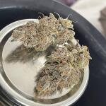 punchberry-cookies-rbx-fem-ethos-genetics.jpg