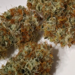 strawberry-og-cookies-r1-fem-ethos-genetics.jpg