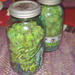 auto-orange-bud-fem-dutch-passion.jpg