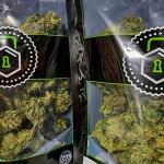 gorilla-cookies-ff-fem-fastbuds.jpg