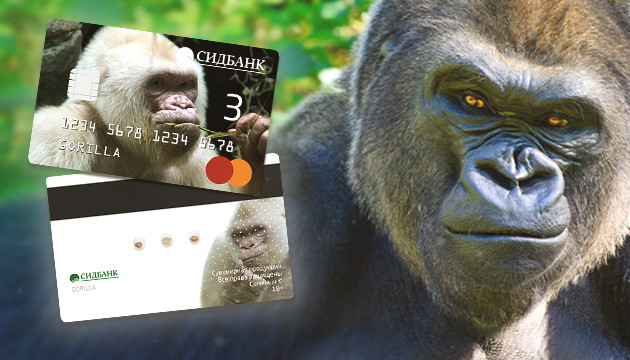 Новый сорт от сидбанка Семяныч Сорт Gorilla fem