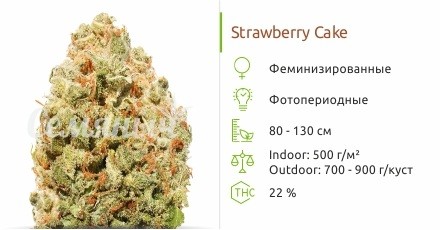 Сорт марихуаны Strawberry Cake Strawberry Cake от Heavyweight Seeds