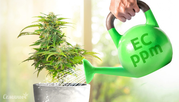 Жесткая вода и что такое РРМ Влияние жесткой воды на коноплю или что такое РРМ