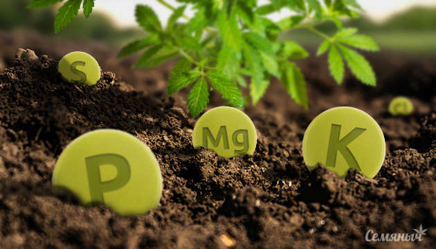 Важнейшие макро- и микроэлементы для каннабиса Содержание макро- и микроэлементов в почве